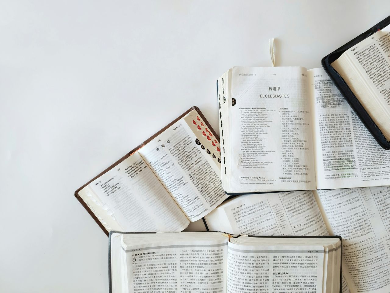 creative-03 Multiple Bibles open on a white background showing text from Ecclesiastes in different languages.